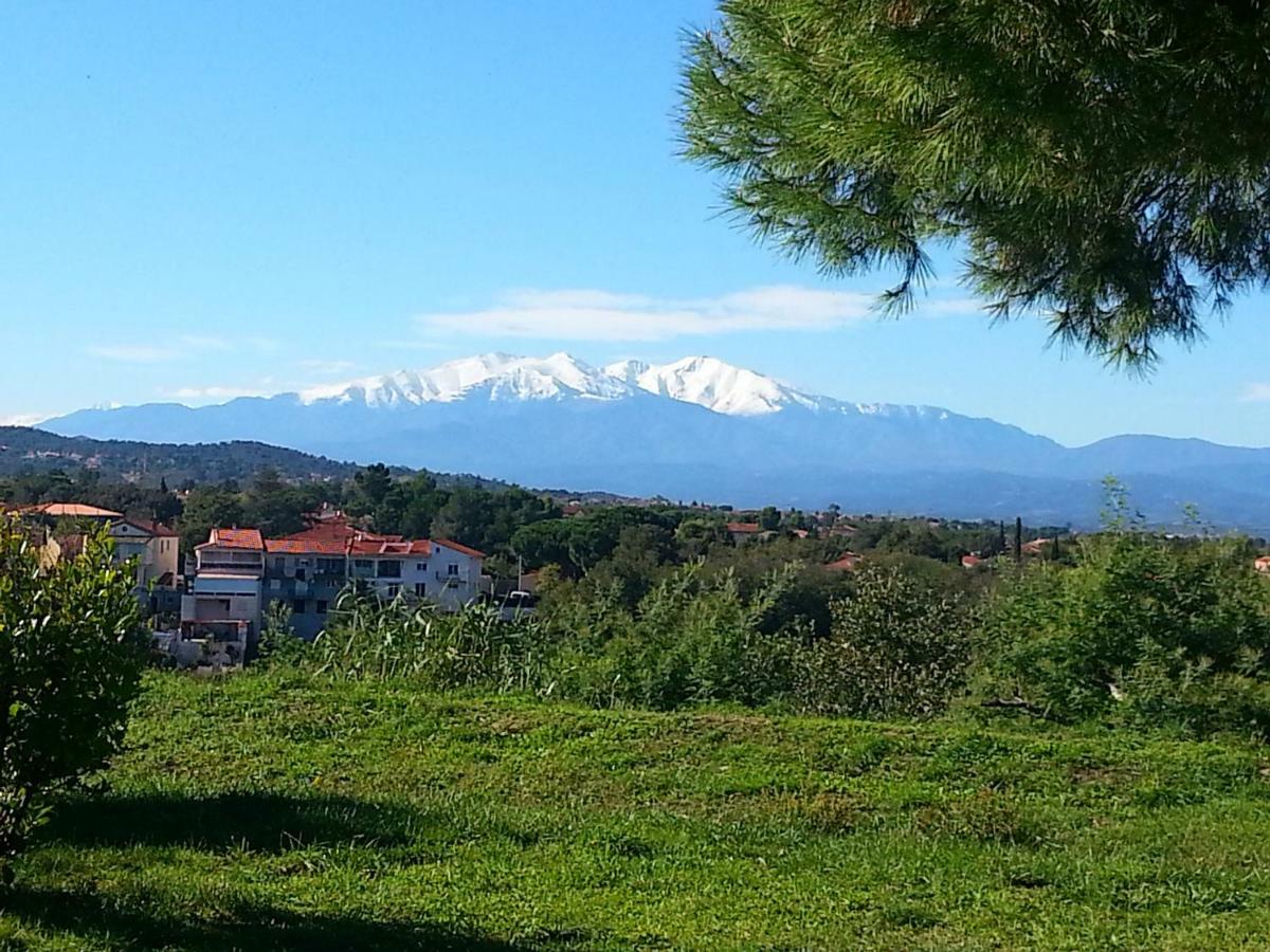 Le Quatorze Daire Laroque-des-Albères Dış mekan fotoğraf